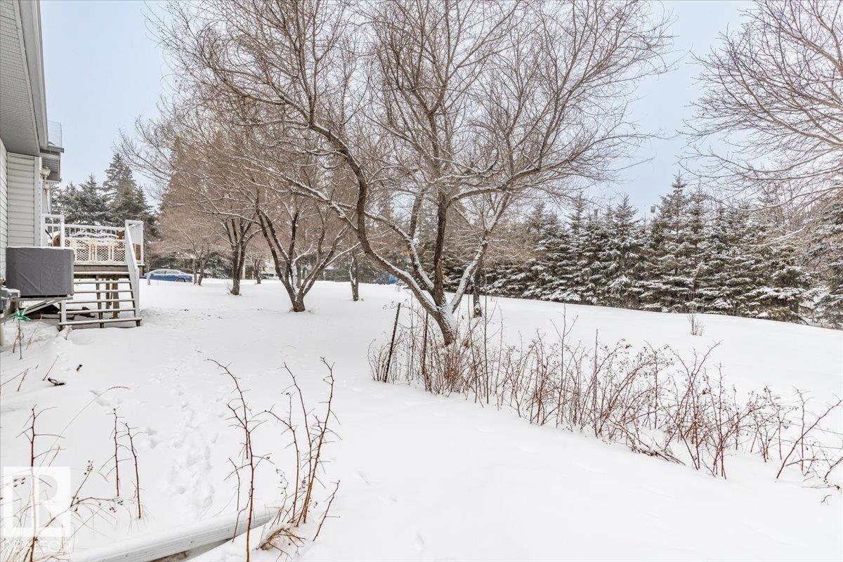 5004 60 Av, Rural Wetaskiwin County, Alberta  T0C 2C0 - Photo 43 - E4475379