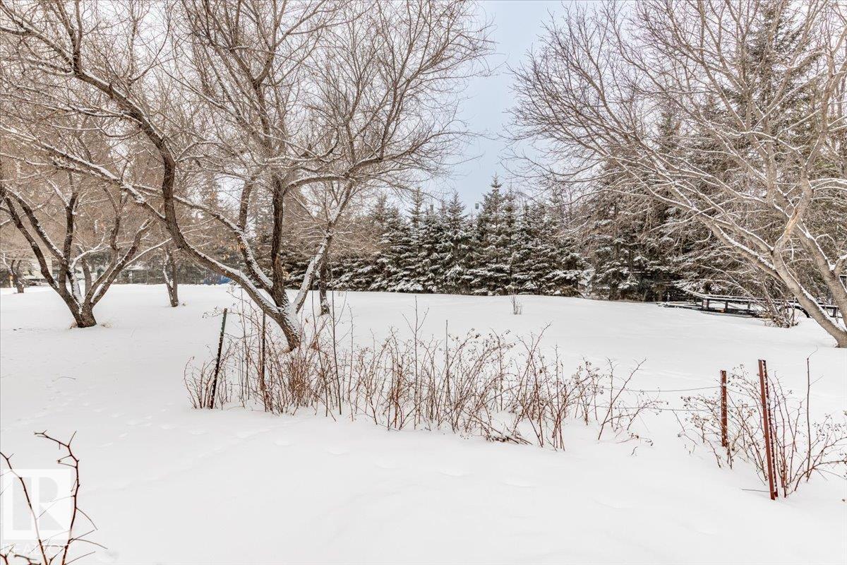 5004 60 Av, Rural Wetaskiwin County, Alberta  T0C 2C0 - Photo 44 - E4475379