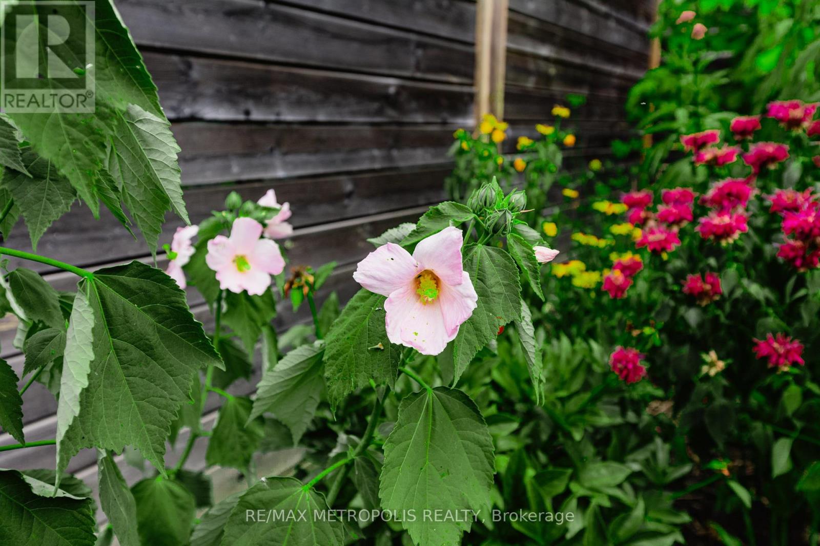 7 Cherry Lane, New Tecumseth, Ontario  L9R 0M1 - Photo 15 - N12831600