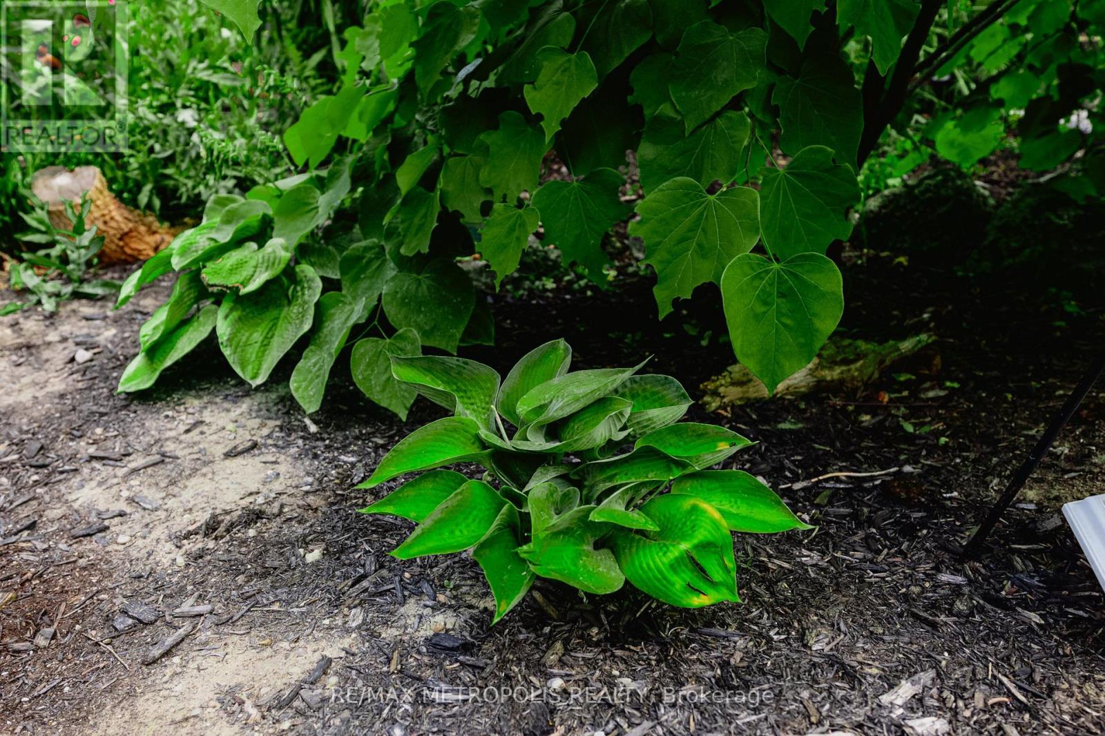 7 Cherry Lane, New Tecumseth, Ontario  L9R 0M1 - Photo 8 - N12831600