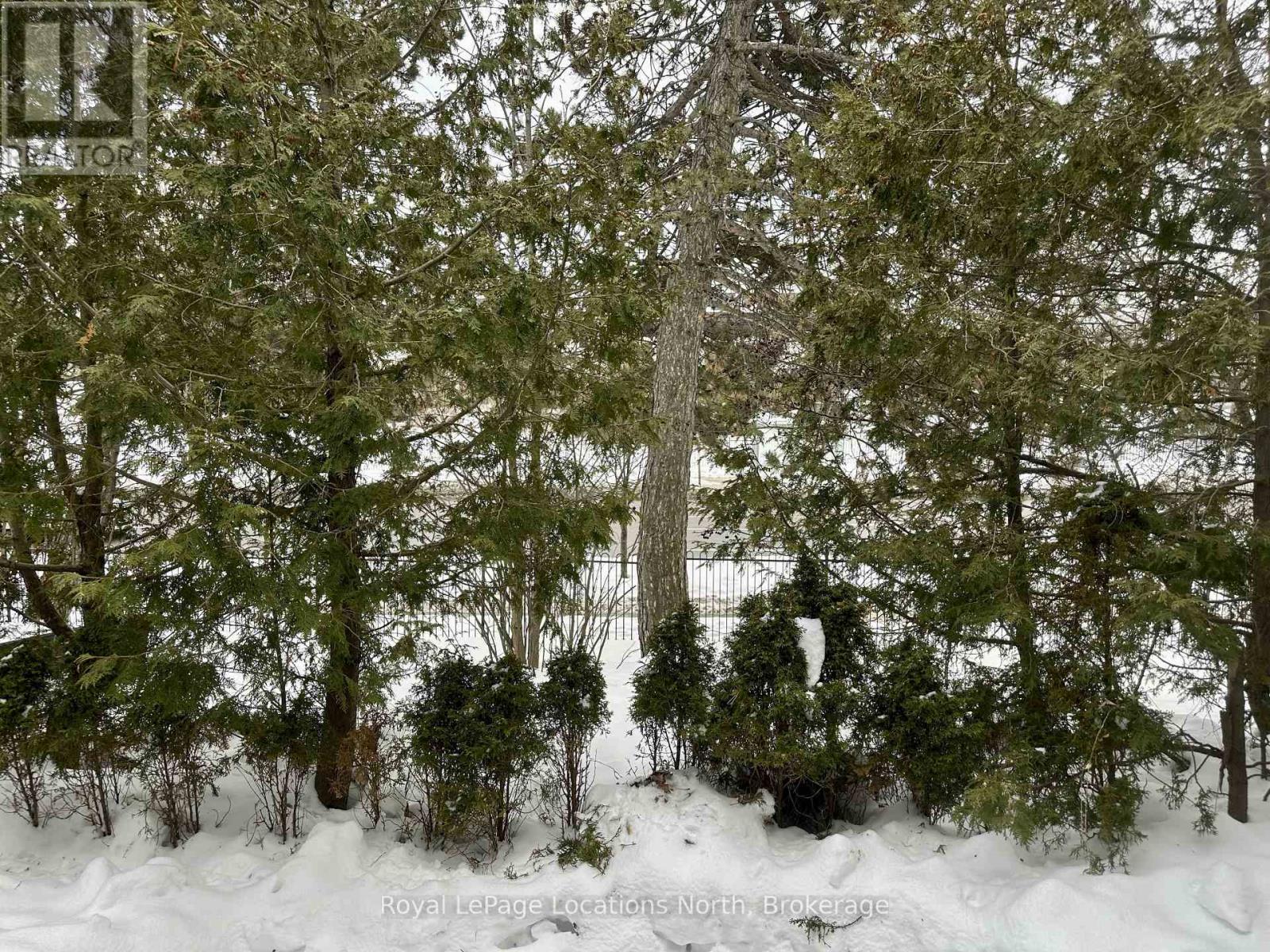 4 - 431 Military Trail Trail, Toronto, Ontario  M1E 4E8 - Photo 14 - E12831742