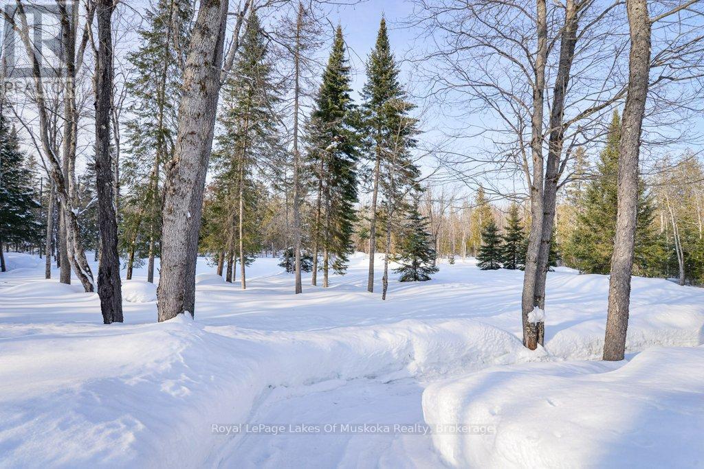 2411 Hwy. 118 E. Highway, Bracebridge, Ontario  P1L 1X1 - Photo 38 - X12831712