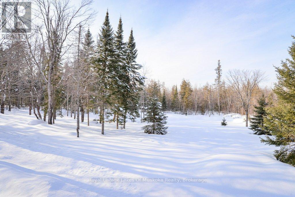 2411 Hwy. 118 E. Highway, Bracebridge, Ontario  P1L 1X1 - Photo 7 - X12831712