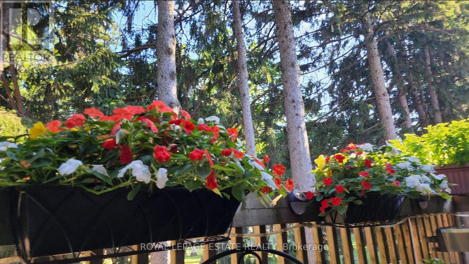 8 - 8038 Yonge Street, Vaughan, Ontario  L4J 1W3 - Photo 4 - N12831738