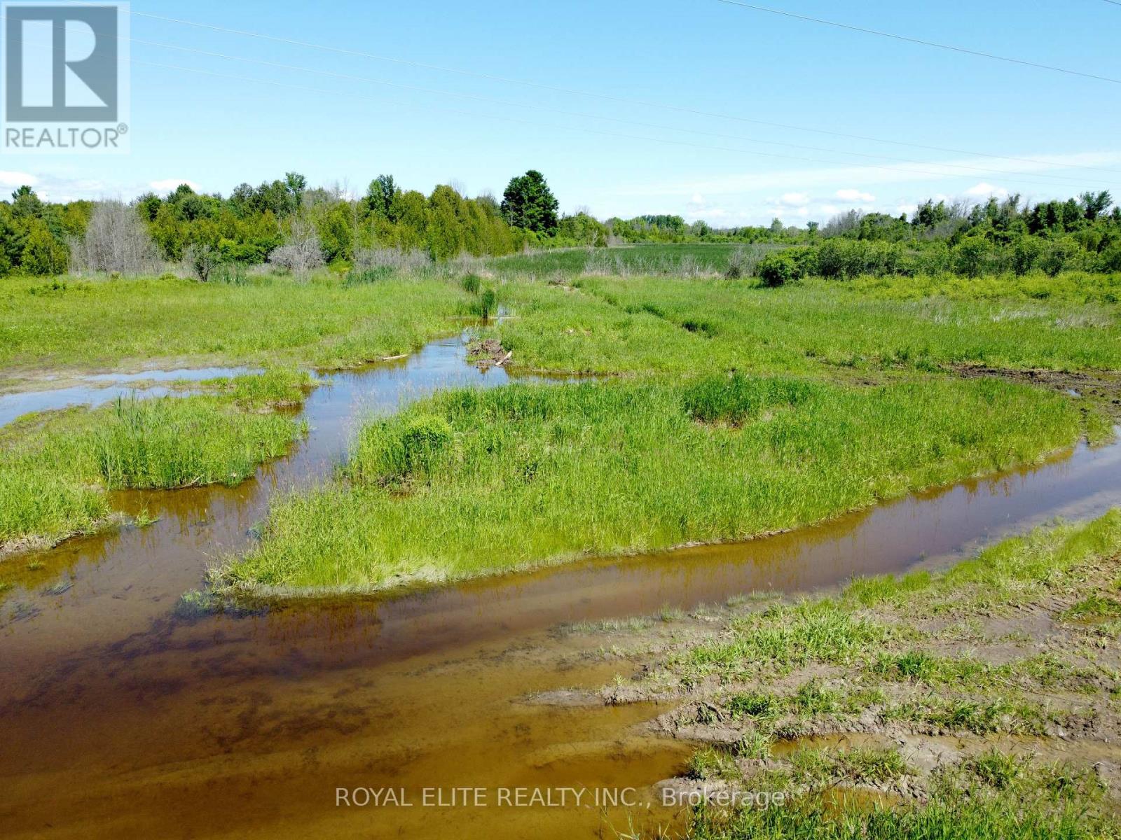 30705 Highway -48 Road, Georgina, Ontario  L0E 1N0 - Photo 10 - N12831750