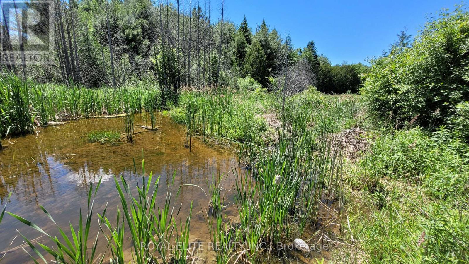 30705 Highway -48 Road, Georgina, Ontario  L0E 1N0 - Photo 11 - N12831750