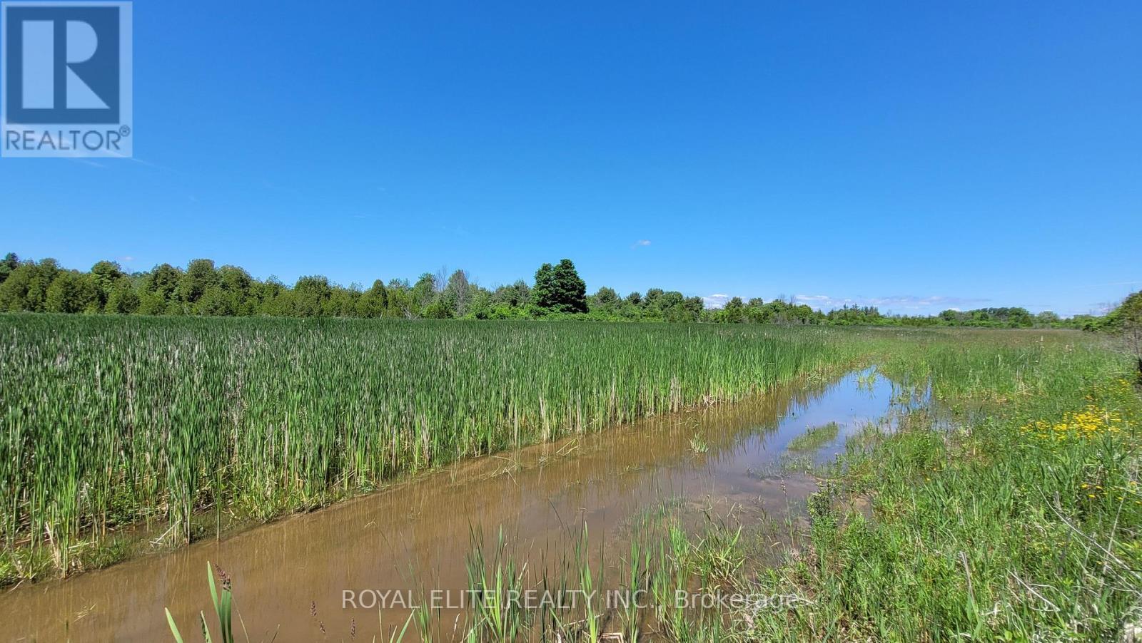 30705 Highway -48 Road, Georgina, Ontario  L0E 1N0 - Photo 12 - N12831750