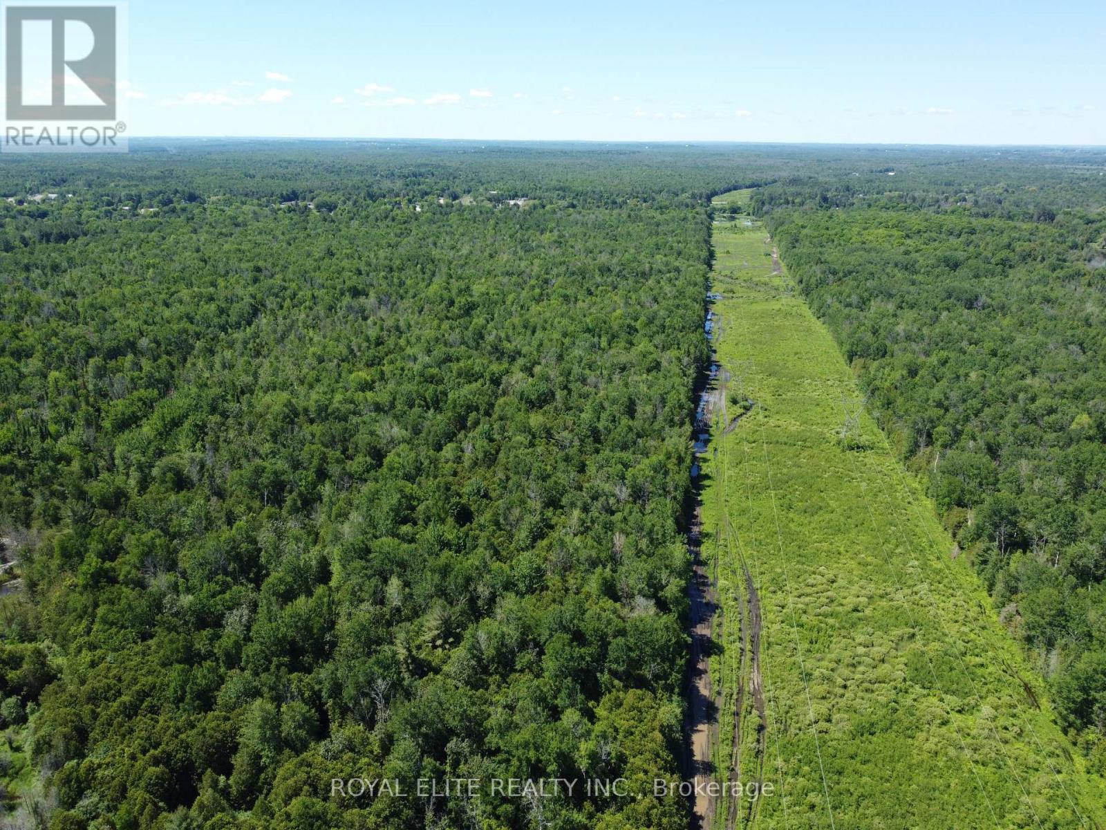 30705 Highway -48 Road, Georgina, Ontario  L0E 1N0 - Photo 14 - N12831750