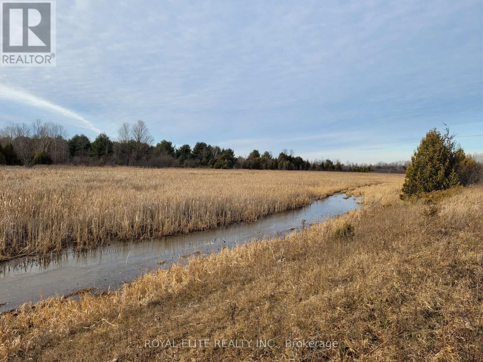 30705 Highway -48 Road, Georgina, Ontario  L0E 1N0 - Photo 16 - N12831750