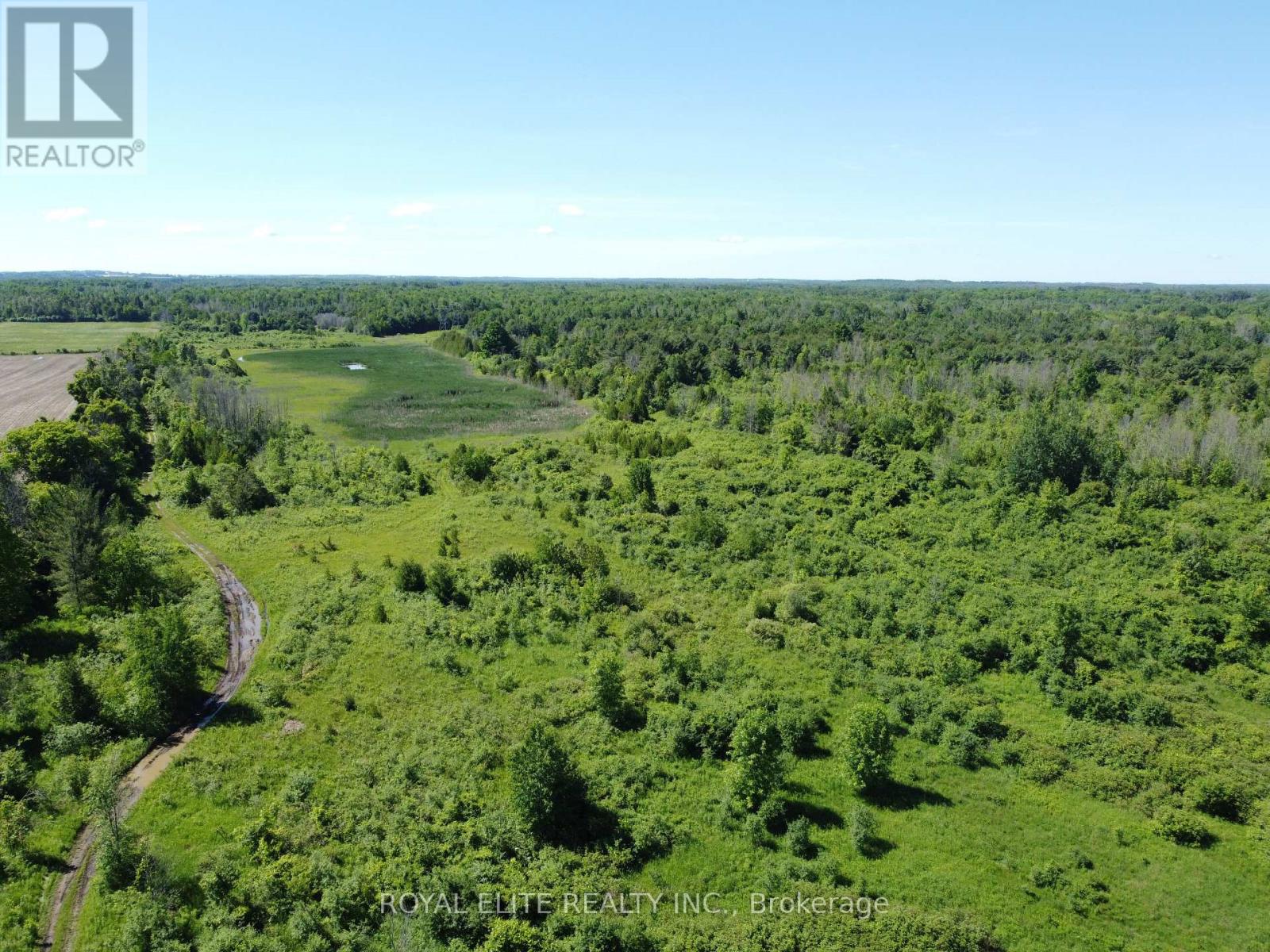 30705 Highway -48 Road, Georgina, Ontario  L0E 1N0 - Photo 17 - N12831750