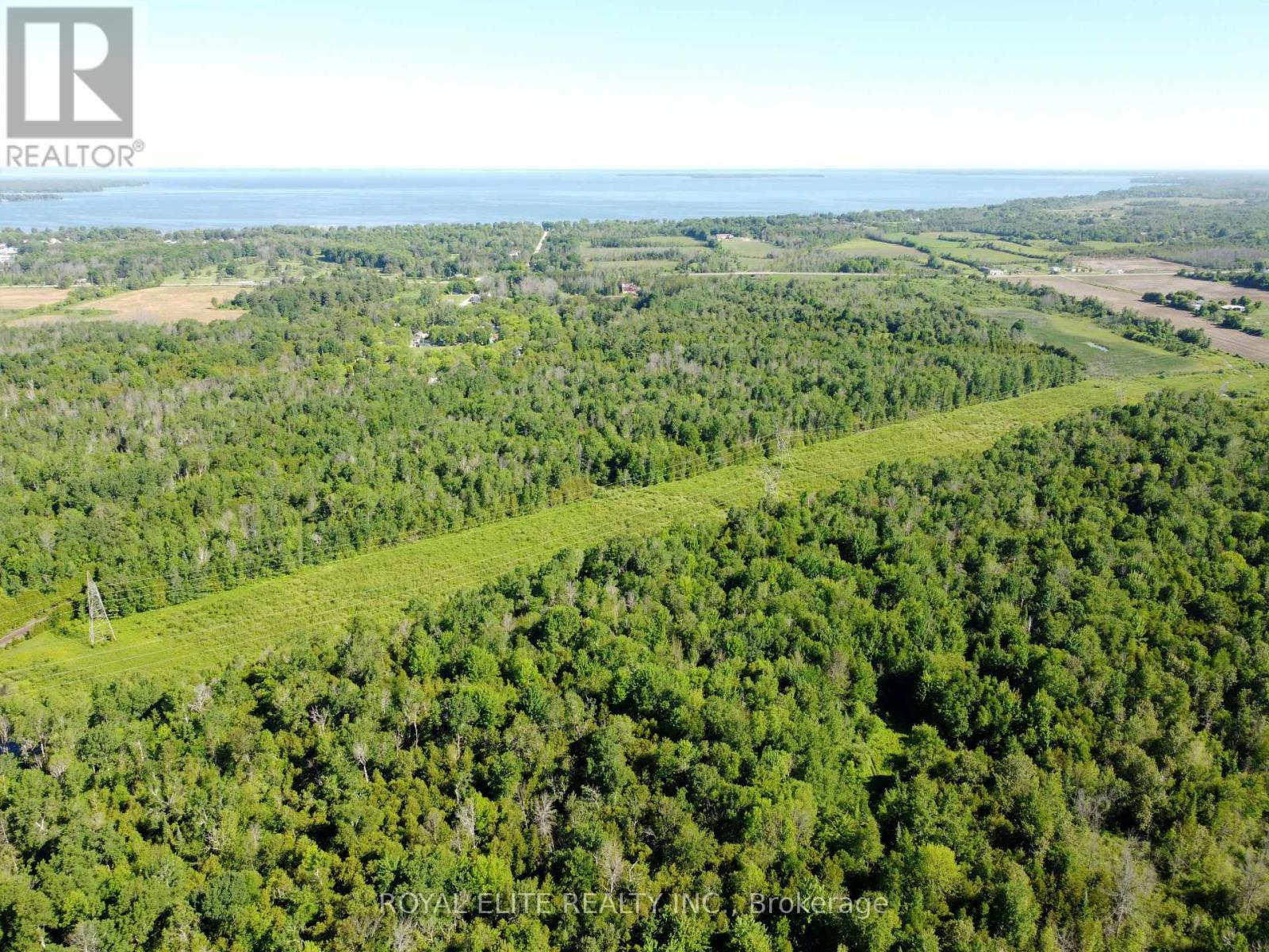 30705 Highway -48 Road, Georgina, Ontario  L0E 1N0 - Photo 23 - N12831750