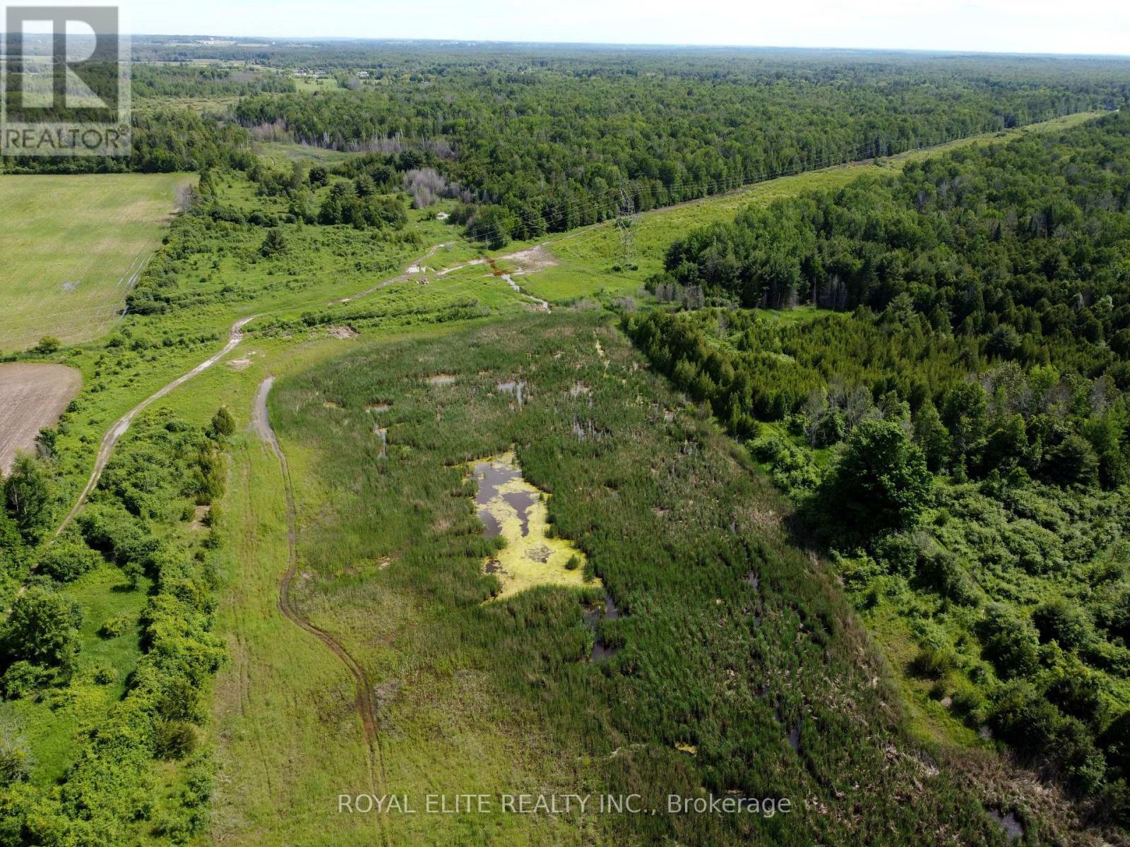 30705 Highway -48 Road, Georgina, Ontario  L0E 1N0 - Photo 24 - N12831750