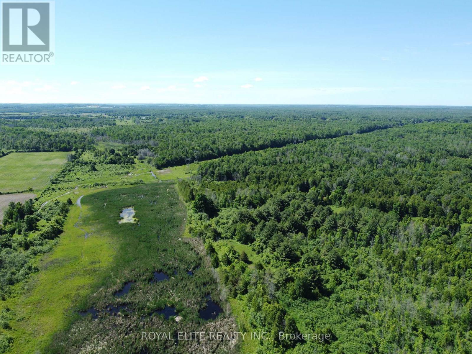 30705 Highway -48 Road, Georgina, Ontario  L0E 1N0 - Photo 26 - N12831750