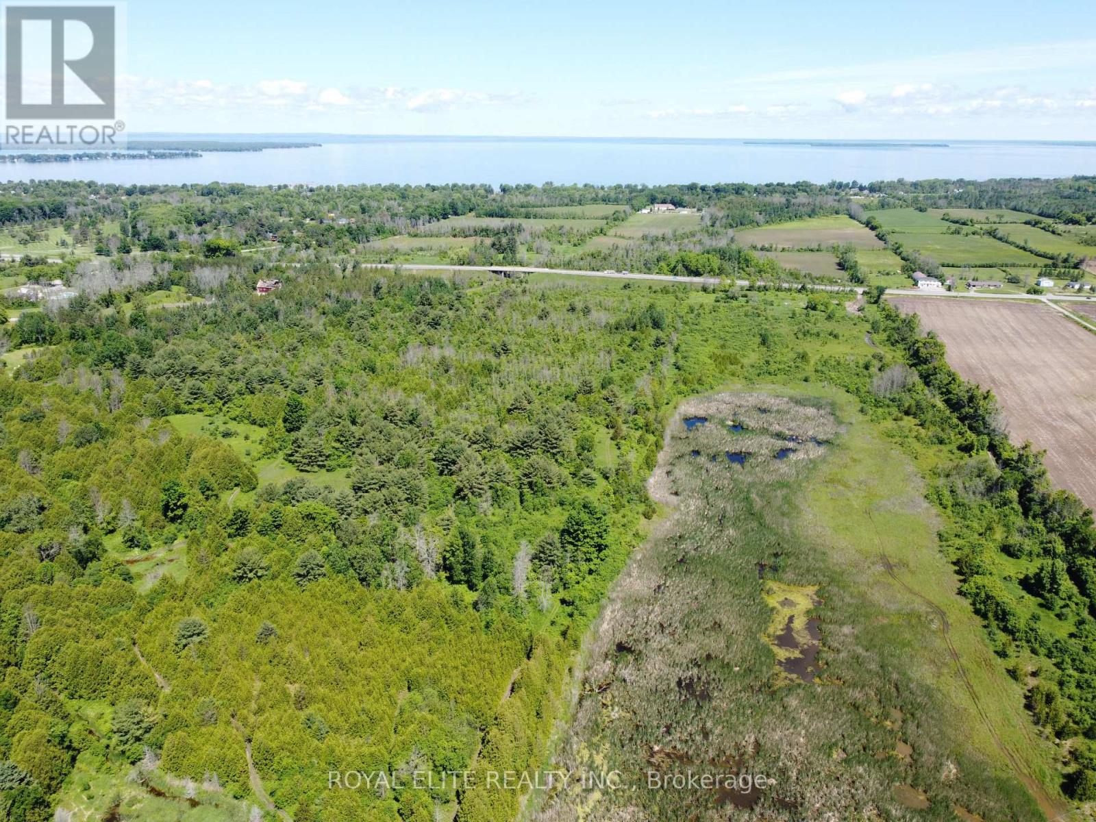 30705 Highway -48 Road, Georgina, Ontario  L0E 1N0 - Photo 7 - N12831750