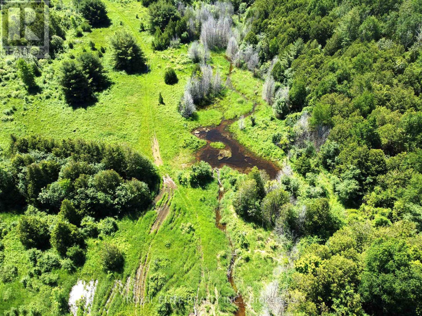 30705 Highway -48 Road, Georgina, Ontario  L0E 1N0 - Photo 8 - N12831750