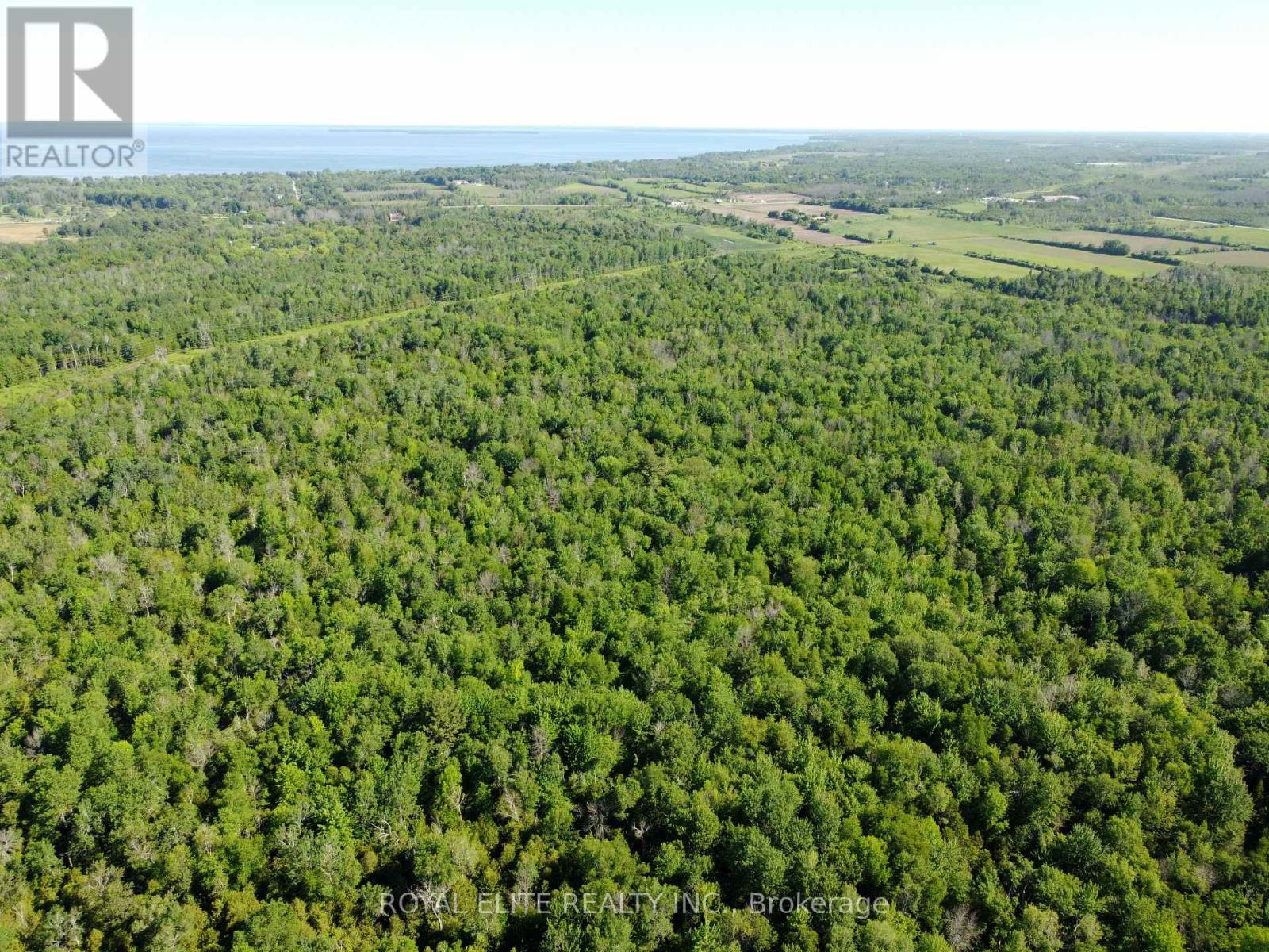 30705 Highway -48 Road, Georgina, Ontario  L0E 1N0 - Photo 9 - N12831750