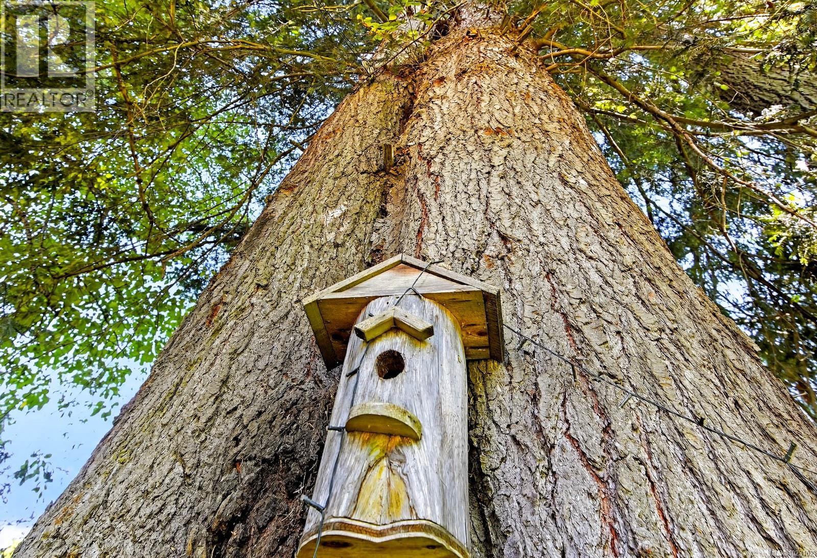 4455 Elizabeth St, Port Alberni, British Columbia  V9Y 6L4 - Photo 54 - 1023102