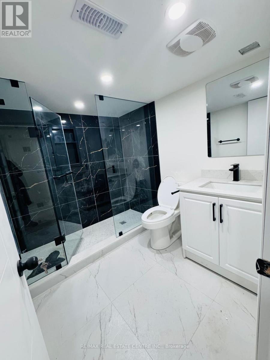 Basement - 3226 Forrestdale Circle, Mississauga, Ontario  L5N 6V4 - Photo 13 - W12814260