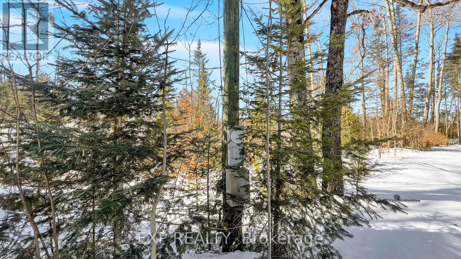 146 Thanet Lake Road, Wollaston, Ontario  K0L 1W0 - Photo 35 - X12831952