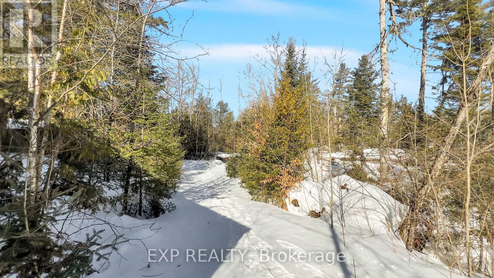 146 Thanet Lake Road, Wollaston, Ontario  K0L 1W0 - Photo 37 - X12831952