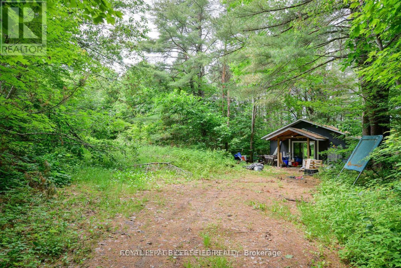 253 Maple Street, Bracebridge, Ontario  P1L 1K3 - Photo 14 - X12831970