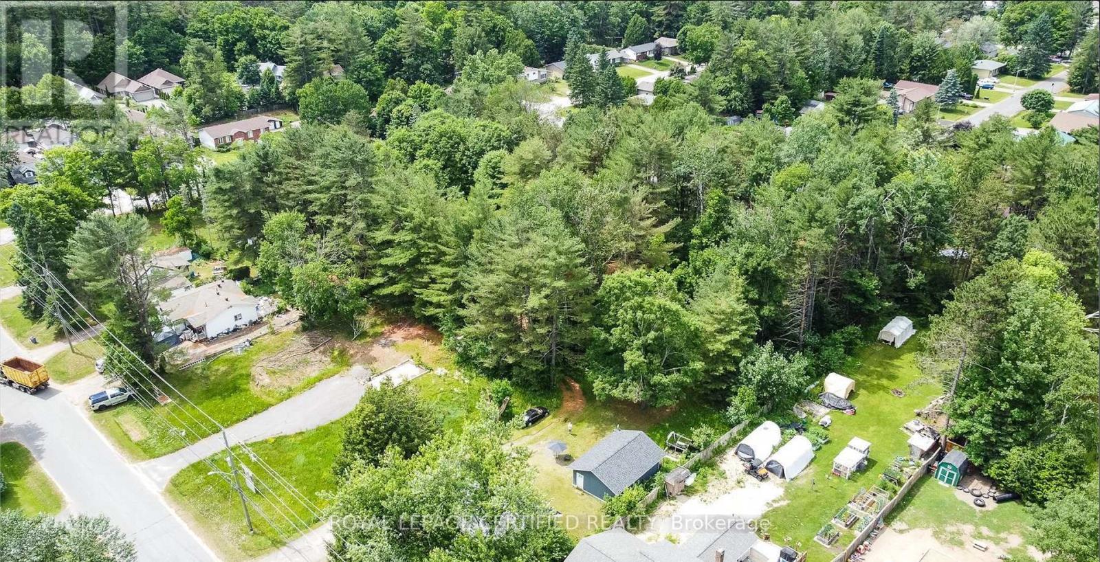 253 Maple Street, Bracebridge, Ontario  P1L 1K3 - Photo 6 - X12831970