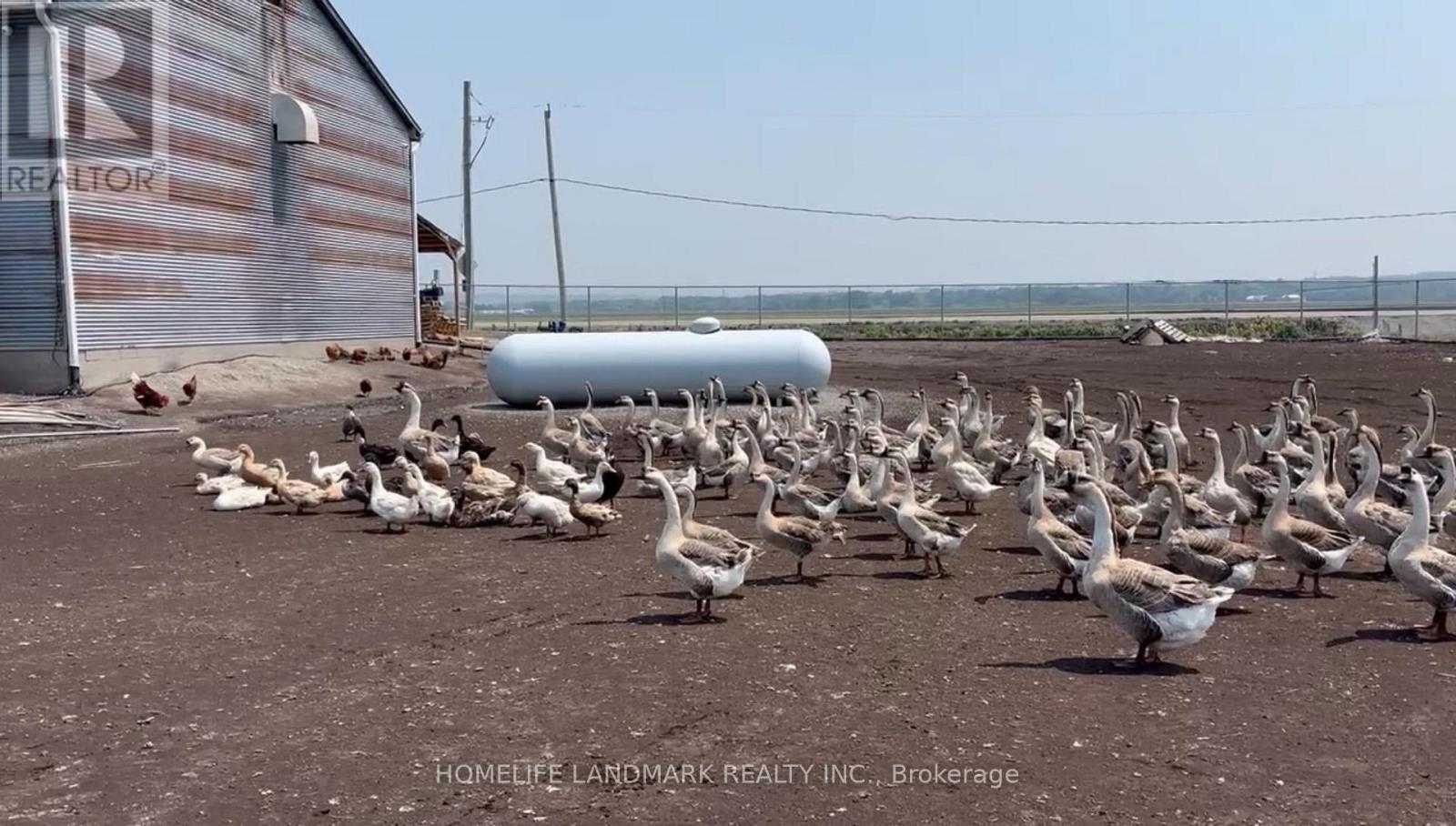 110 Aileen Avenue, King, Ontario  L3Y 4V9 - Photo 3 - N12781950