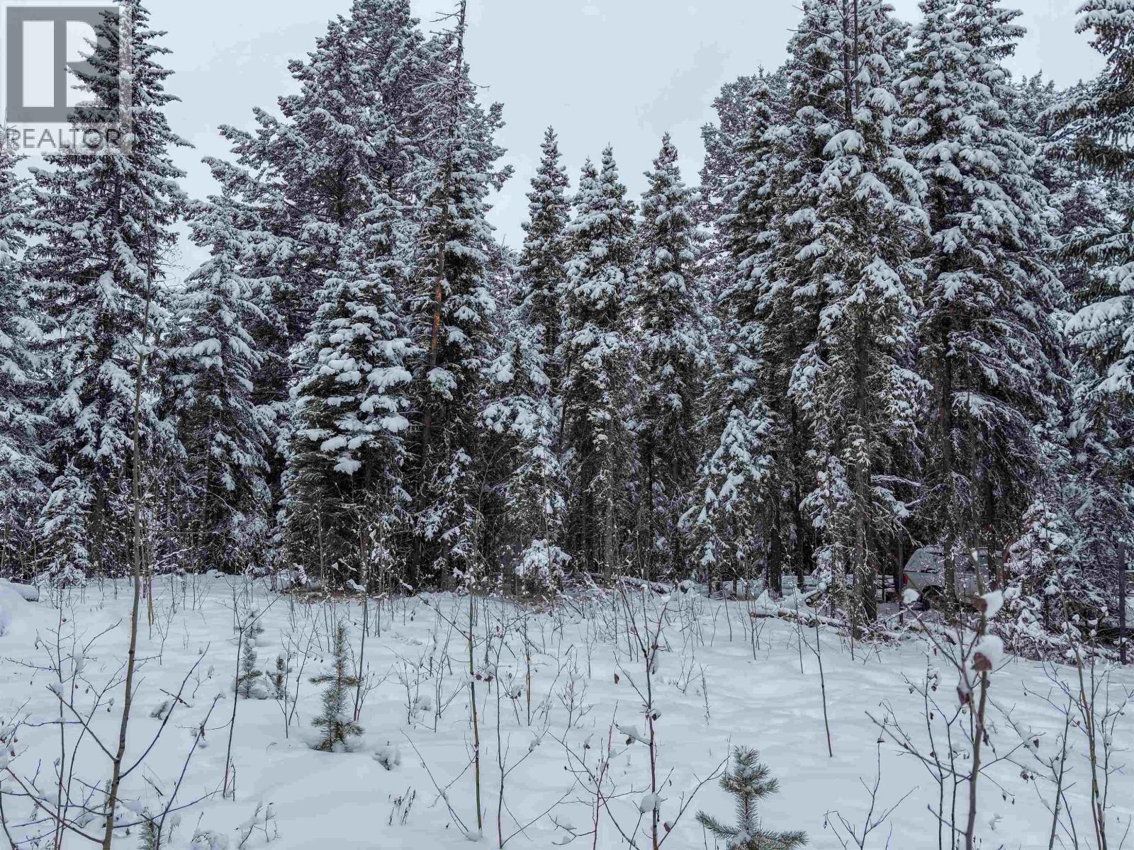 Lot 177 Faraway Road, Lone Butte, British Columbia  V0K 1X3 - Photo 10 - R3094416