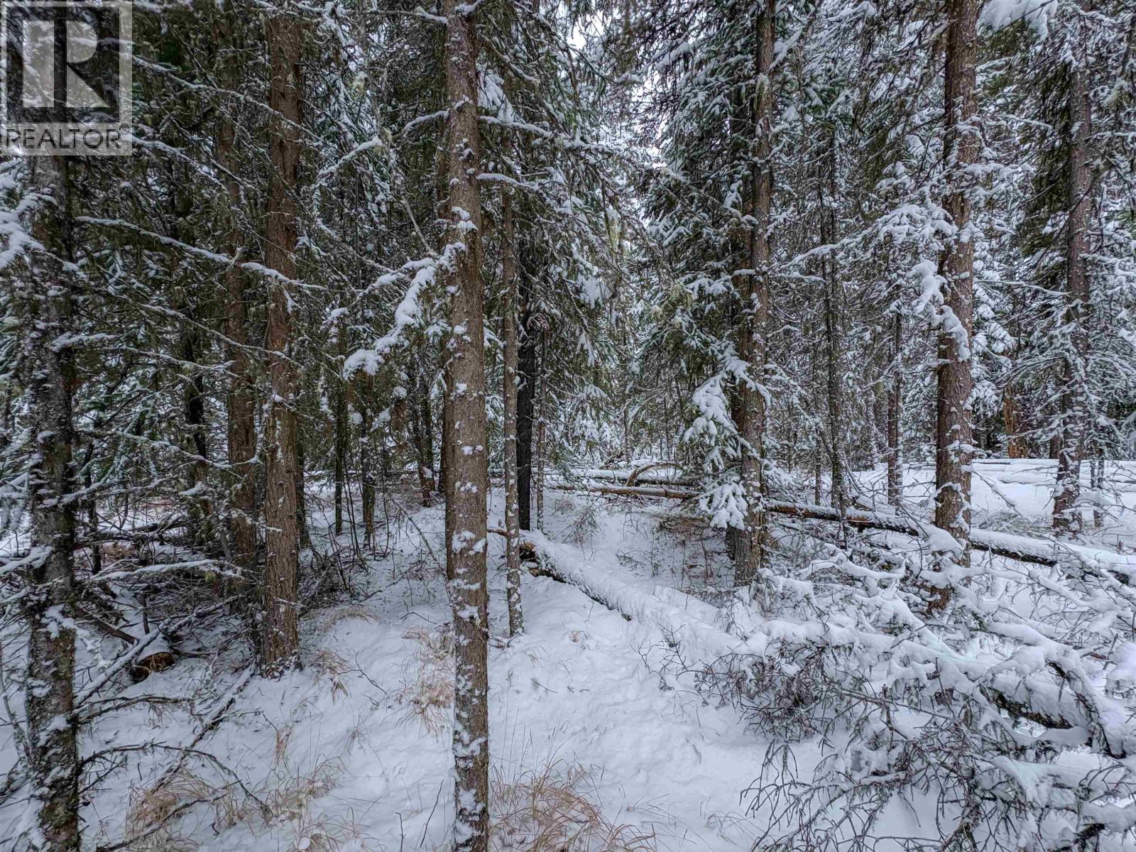 Lot 177 Faraway Road, Lone Butte, British Columbia  V0K 1X3 - Photo 13 - R3094416