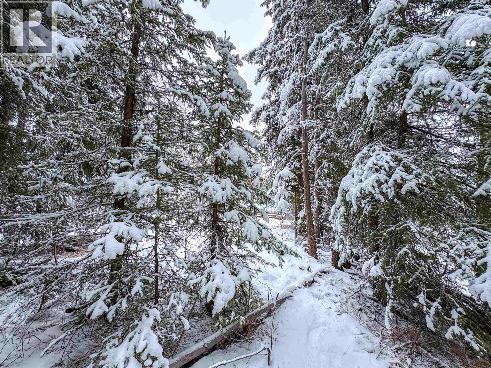 Lot 177 Faraway Road, Lone Butte, British Columbia  V0K 1X3 - Photo 12 - R3094416