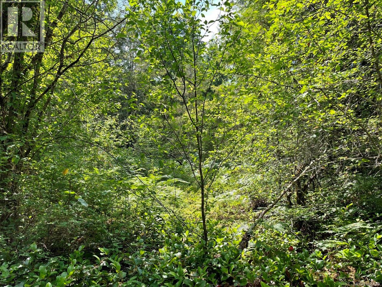 Parcel B Appaloosa Way, Duncan, British Columbia  V9L 6J1 - Photo 5 - 1026878