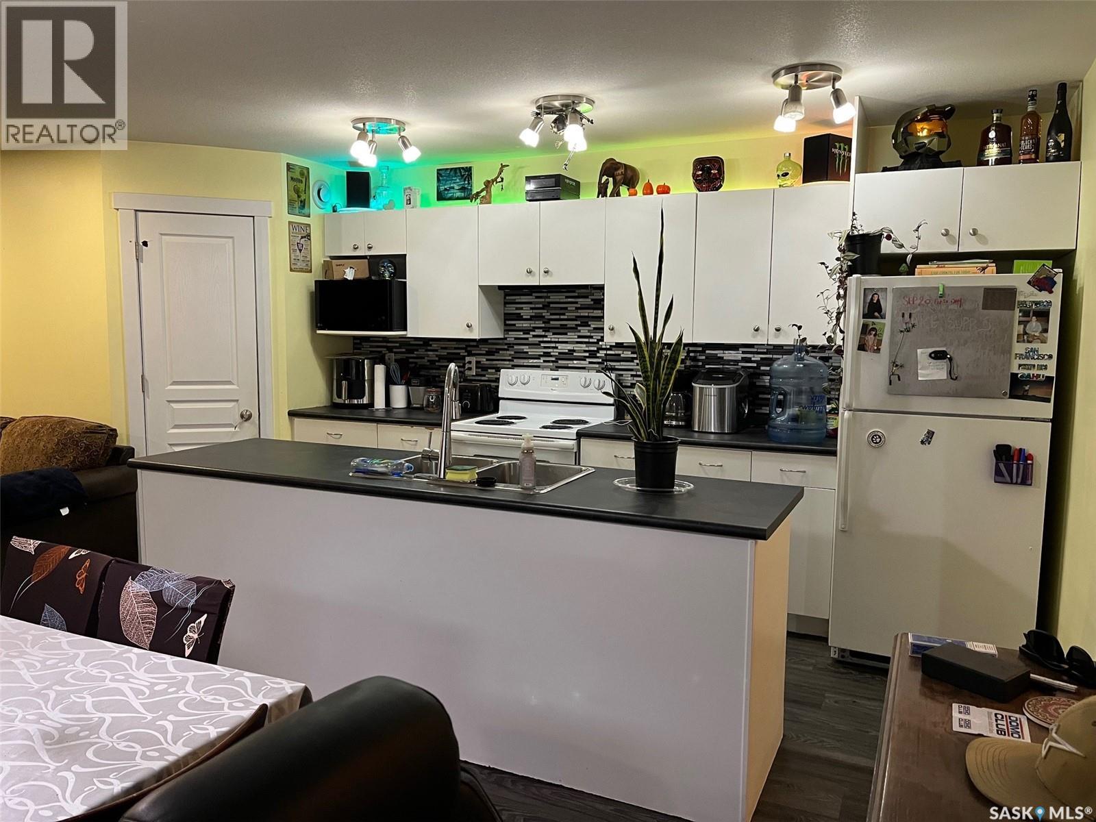 1019 Rae Street, Regina, Saskatchewan  S4T 2B7 - Photo 14 - SK029442