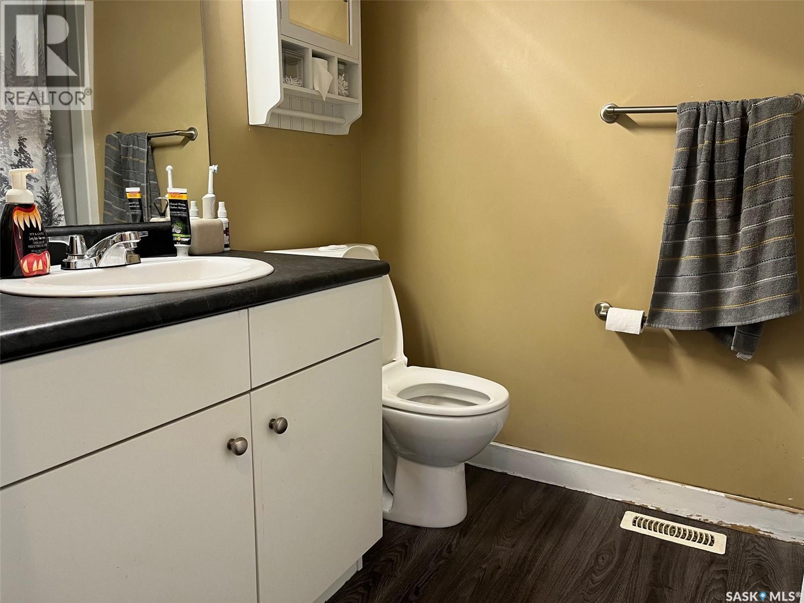 1019 Rae Street, Regina, Saskatchewan  S4T 2B7 - Photo 19 - SK029442