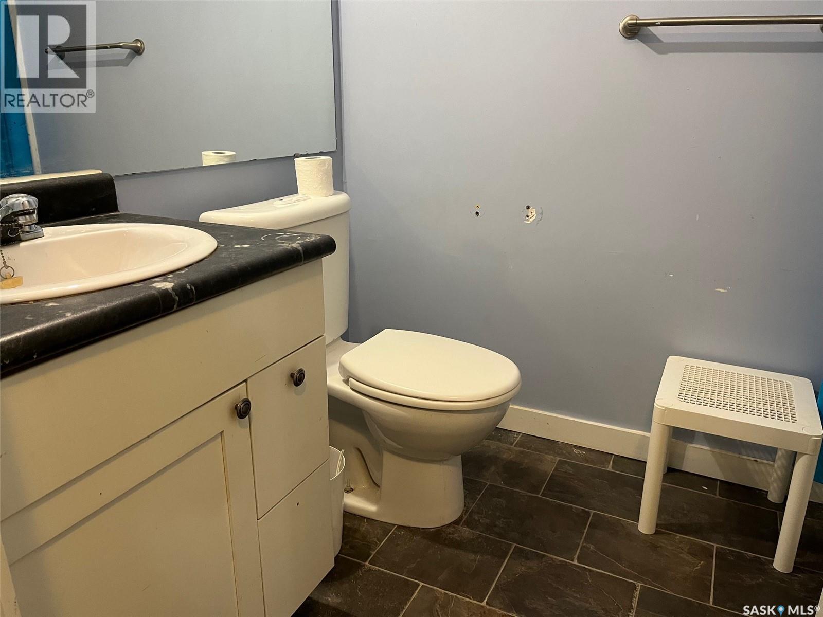 1019 Rae Street, Regina, Saskatchewan  S4T 2B7 - Photo 27 - SK029442