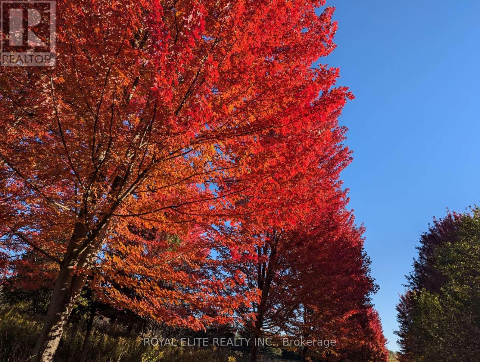 Unknown Address, ,    - Photo 7 - N12832210