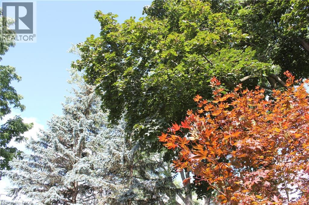 3012 First Street, Burlington, Ontario  L7N 1C3 - Photo 21 - 40721018