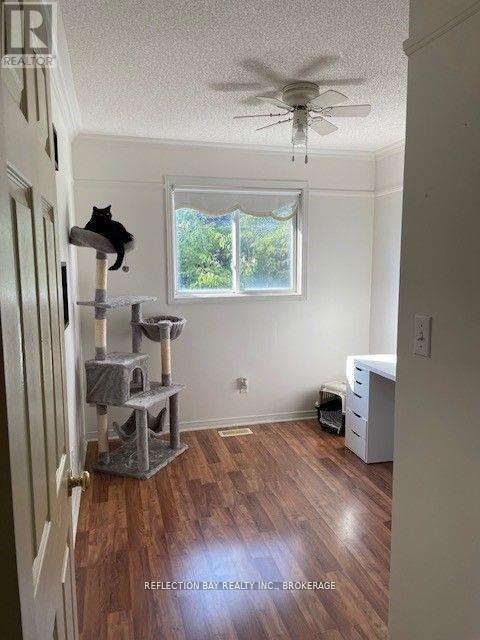 5150 Mulberry Drive, Lincoln (Beamsville), Ontario  L3J 0J7 - Photo 25 - X12832364