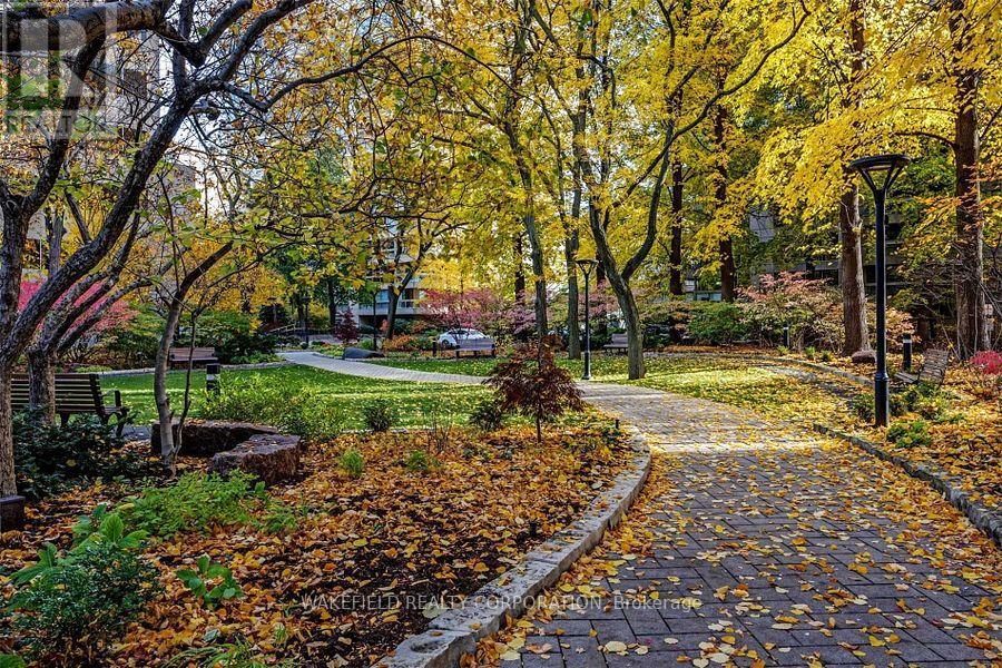 505 - 61 St Clair Avenue E, Toronto, Ontario  M4V 2Y8 - Photo 3 - C12832484