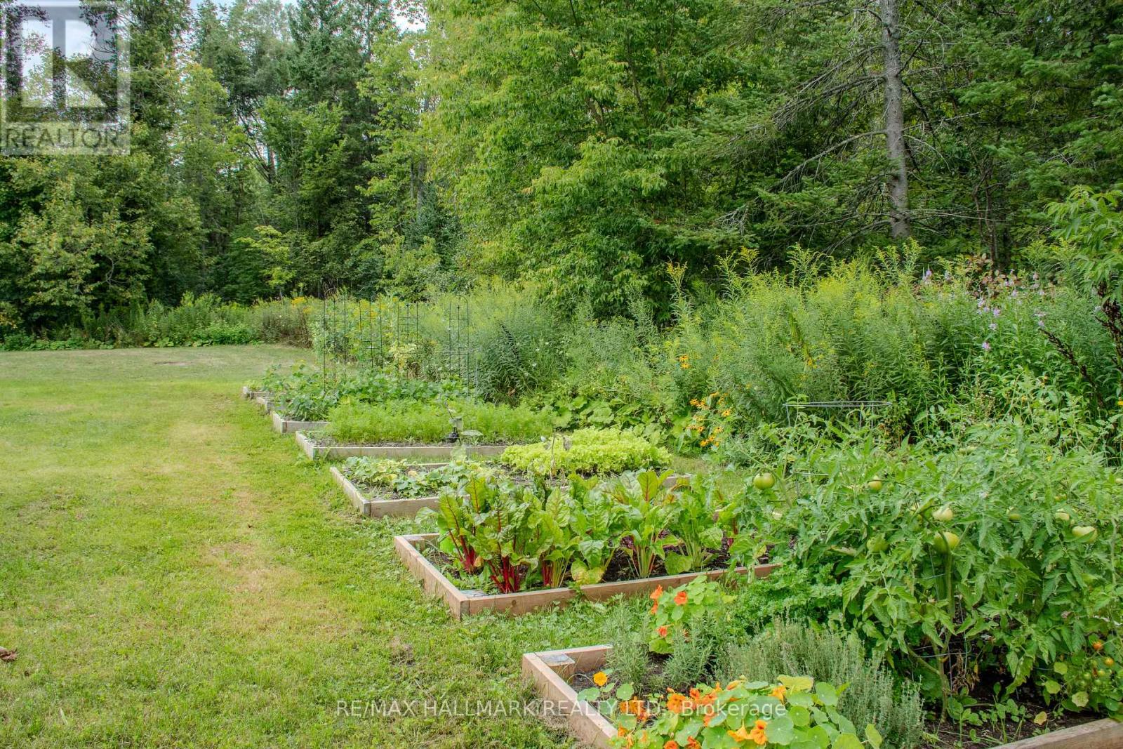 175 Concession 2 Road, Brock, Ontario  L0C 1H0 - Photo 43 - N12832428