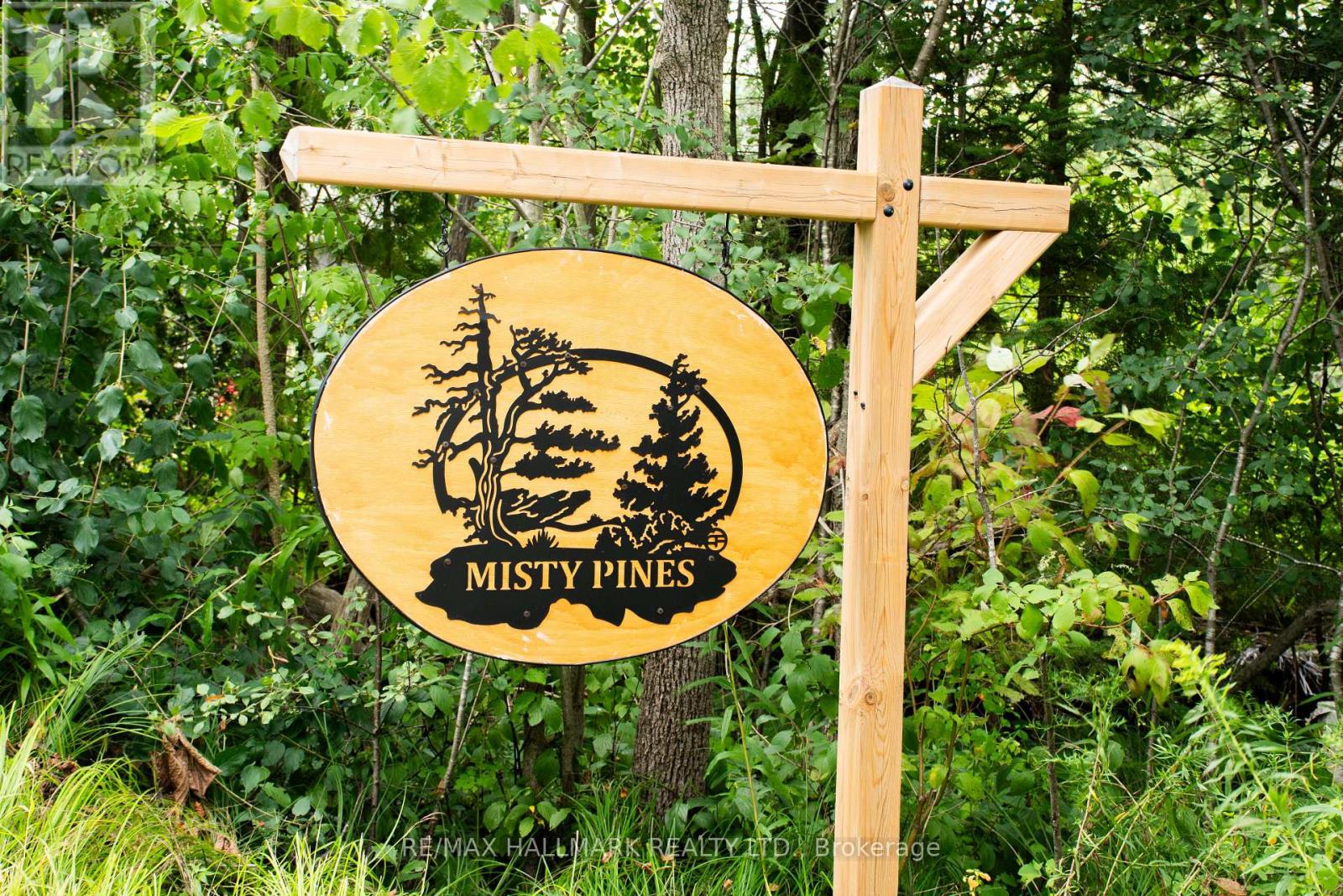 175 Concession 2 Road, Brock, Ontario  L0C 1H0 - Photo 46 - N12832428