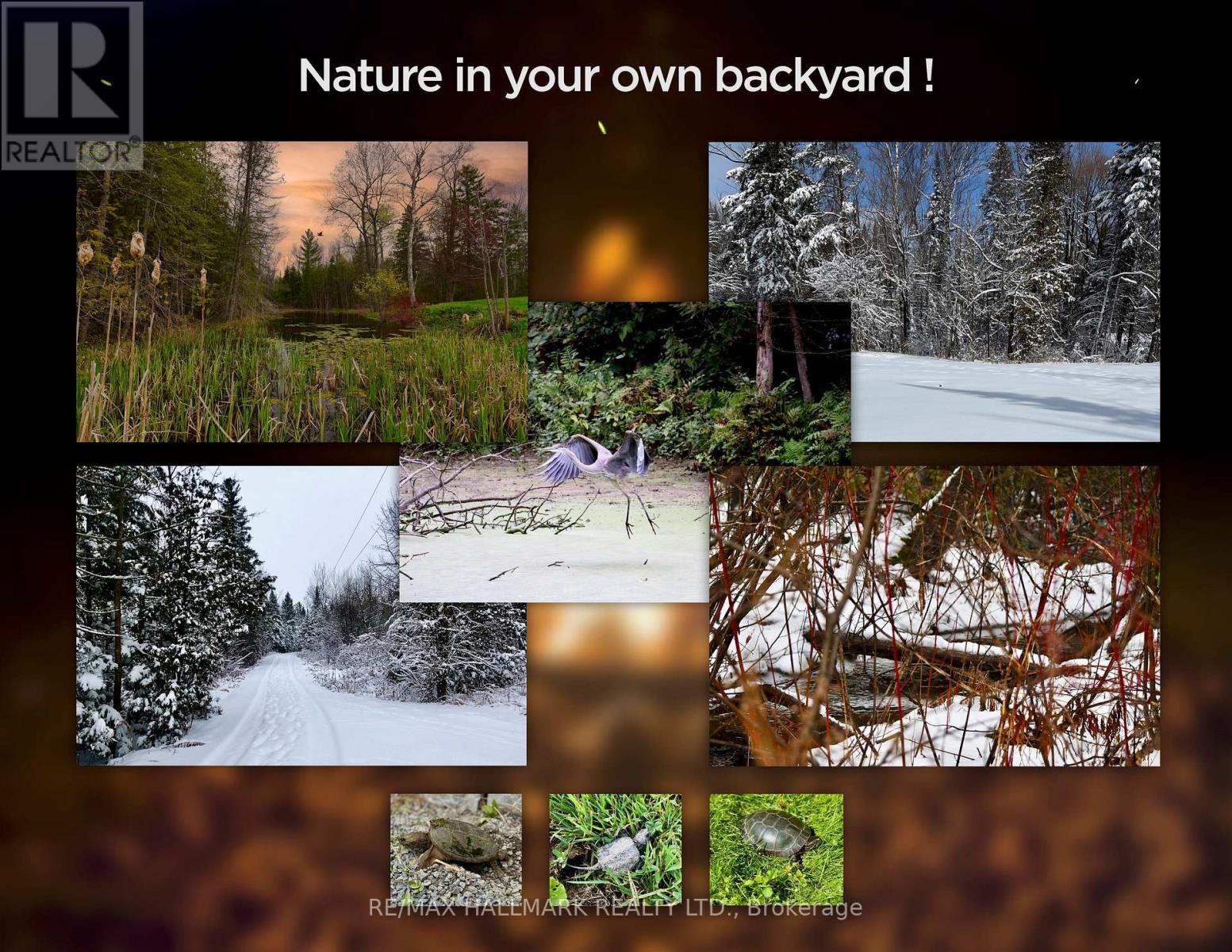 175 Concession 2 Road, Brock, Ontario  L0C 1H0 - Photo 47 - N12832428