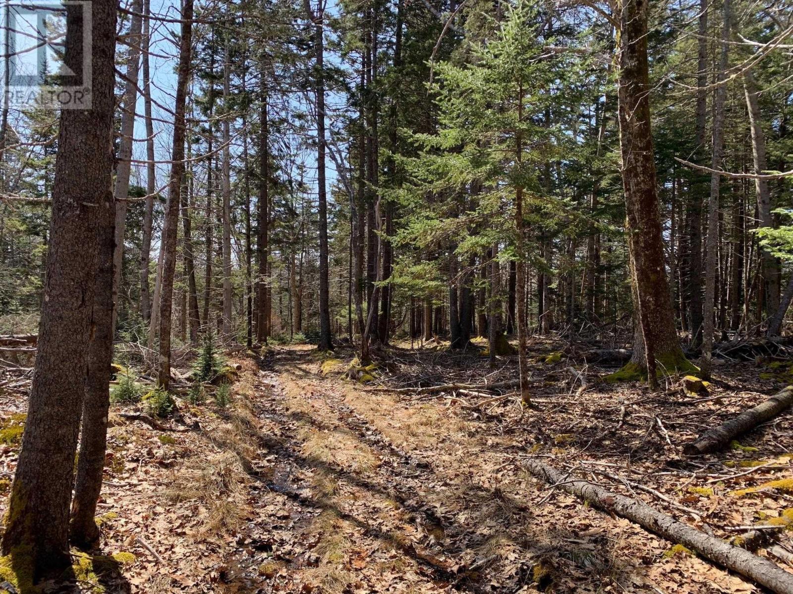 236 Princes Inlet Drive, Lunenburg, Martins Brook, Nova Scotia  B0J 2C0 - Photo 40 - 202603573