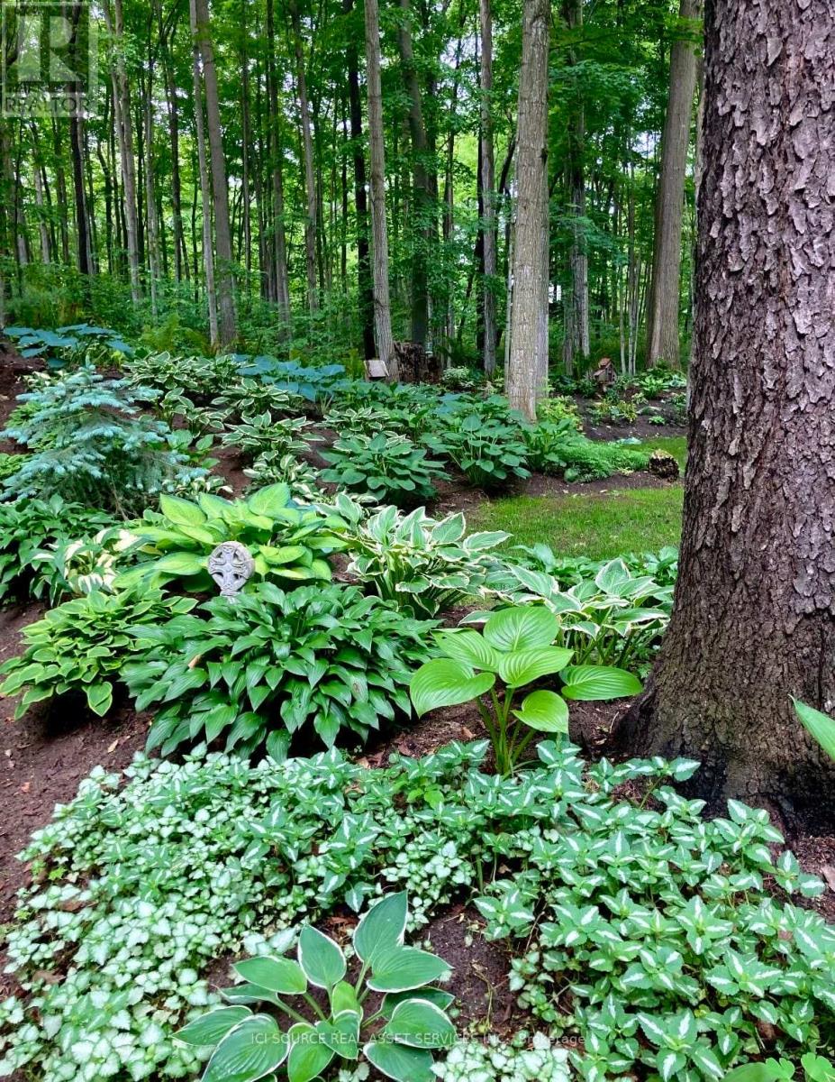 3 Greenbrae Crescent, Huron-Kinloss, Ontario  N2Z 0B3 - Photo 38 - X12832438