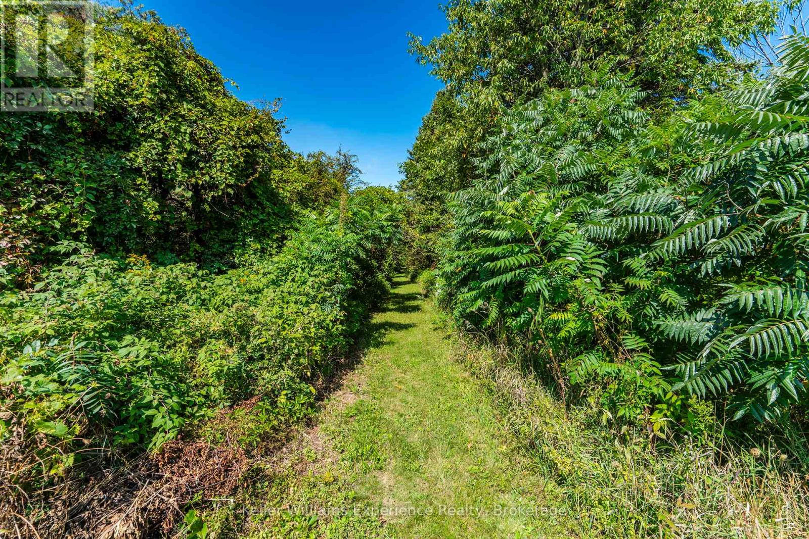 257 15 Concession E, Tiny, Ontario L9M 0N5 - Photo 36 - S12832532