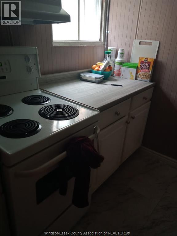 41 Shepherd Street East, Windsor, Ontario  N8X 2J9 - Photo 11 - 26004250