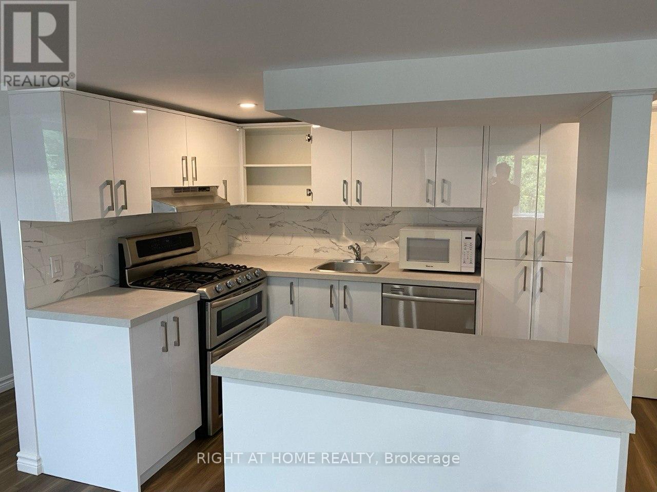 6 Pheasant ( Basement) Drive, Richmond Hill, Ontario  L4E 3S9 - Photo 8 - N12832502