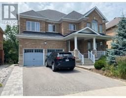 6 PHEASANT ( BASEMENT) DRIVE, Richmond Hill, Ontario