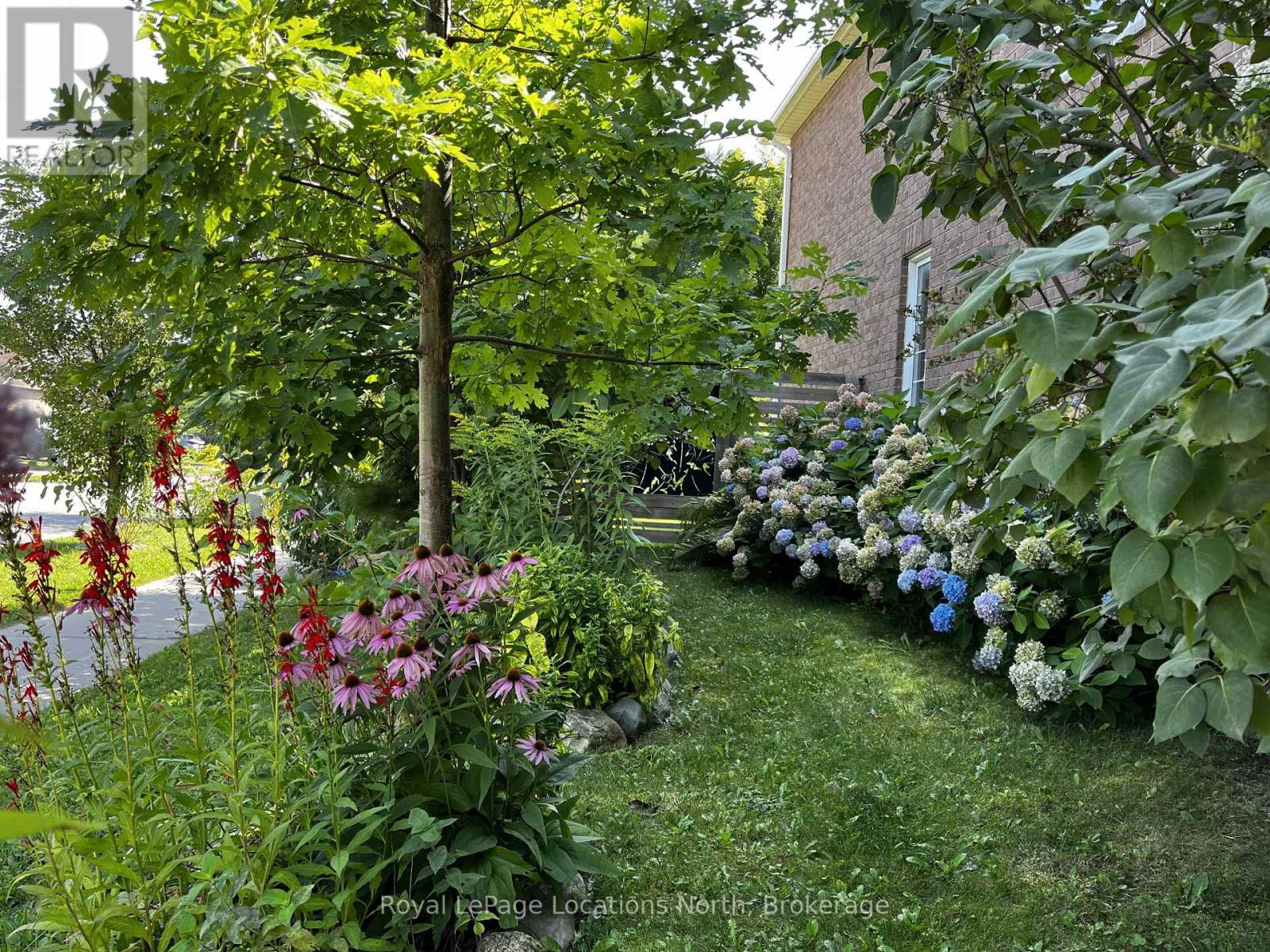 1 Clark Street, Collingwood, Ontario  L9Y 0J1 - Photo 24 - S12832618