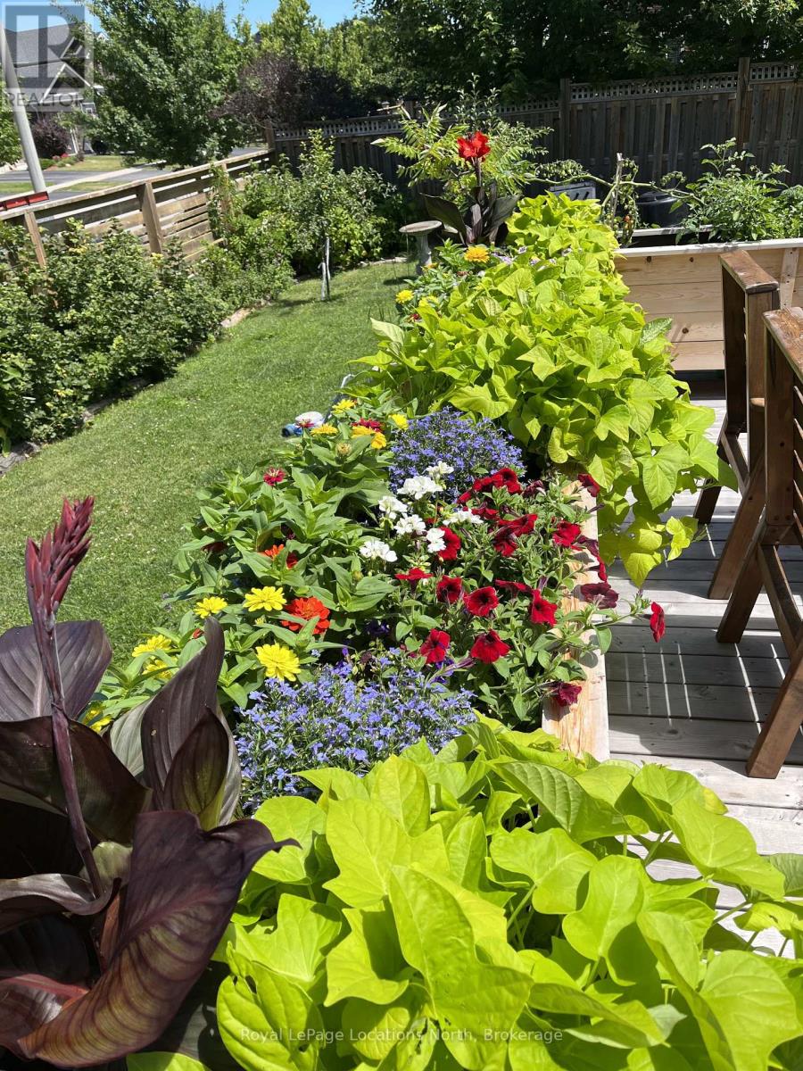 1 Clark Street, Collingwood, Ontario  L9Y 0J1 - Photo 27 - S12832618