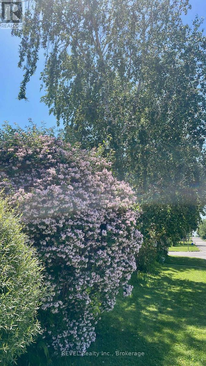 141 Douglas Street, Fort Erie, Ontario  L2A 6V3 - Photo 26 - X12679638